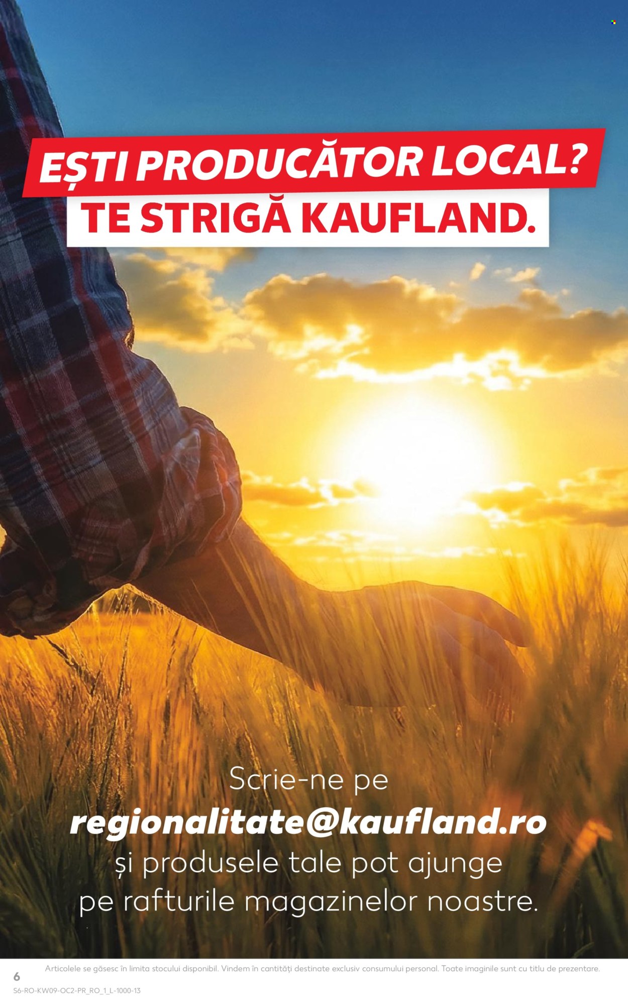 Catalog Kaufland. Pagina 6