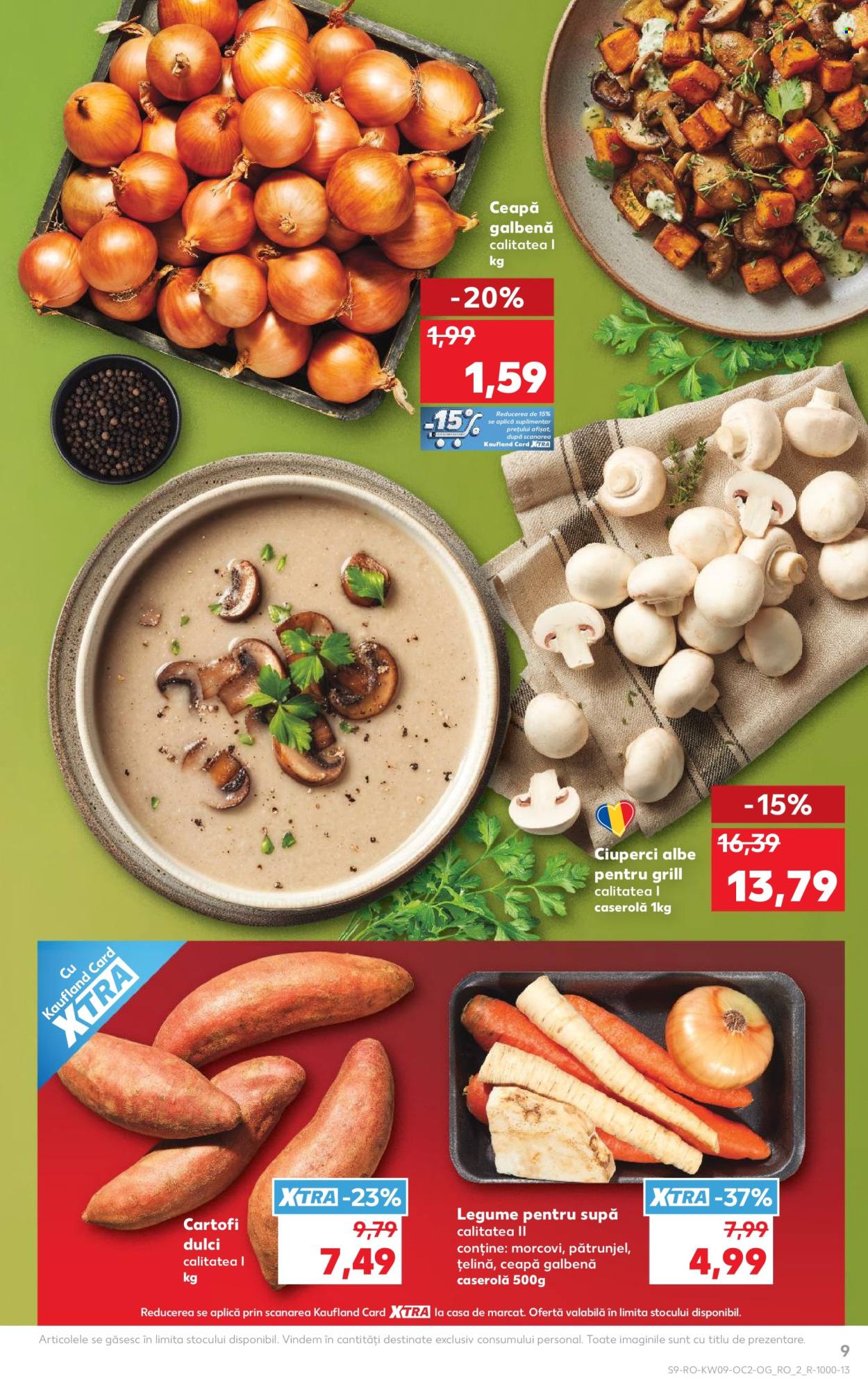 Catalog Kaufland. Pagina 9
