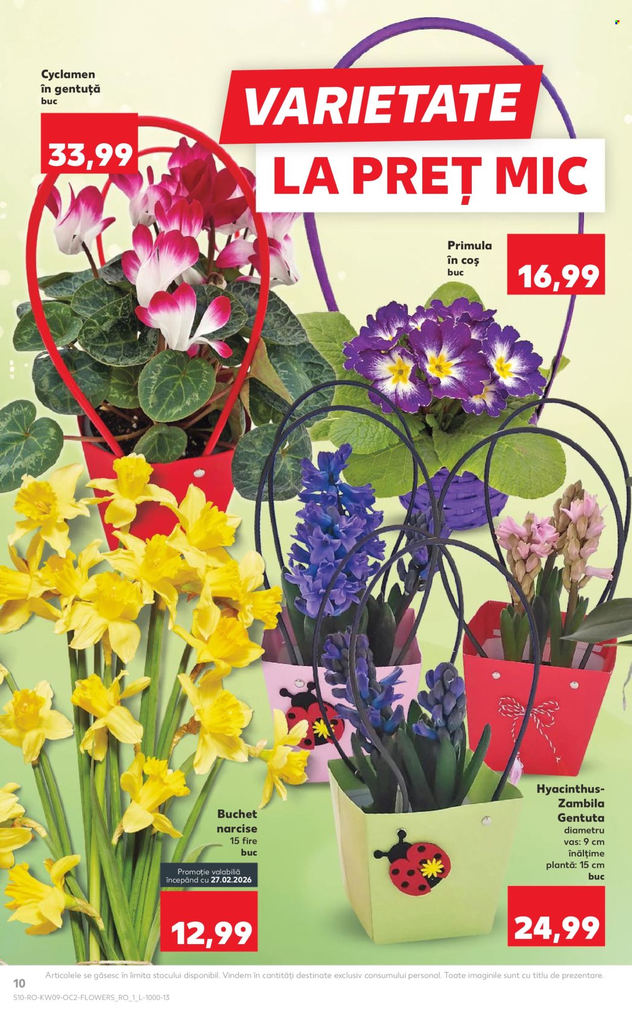 Catalog Kaufland. Pagina 10