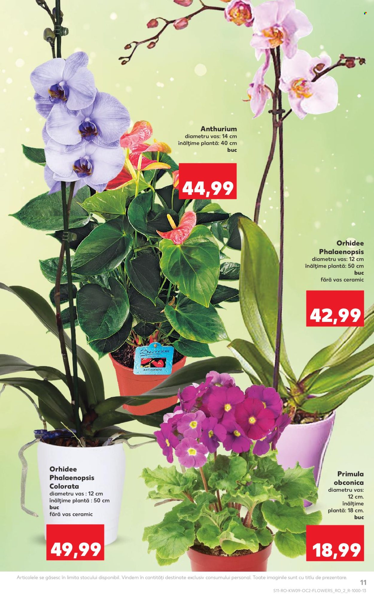 Catalog Kaufland. Pagina 11