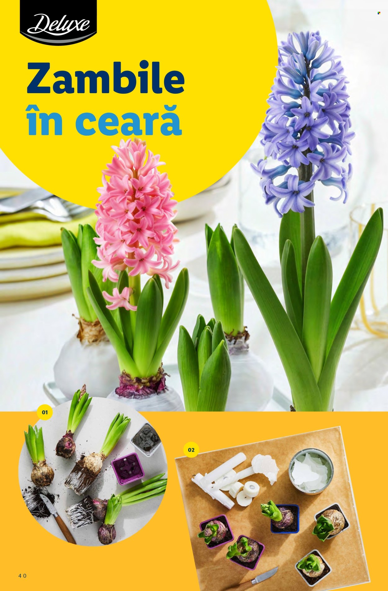 Catalog Lidl - 02.03.2026 - 12.04.2026. Pagina 40
