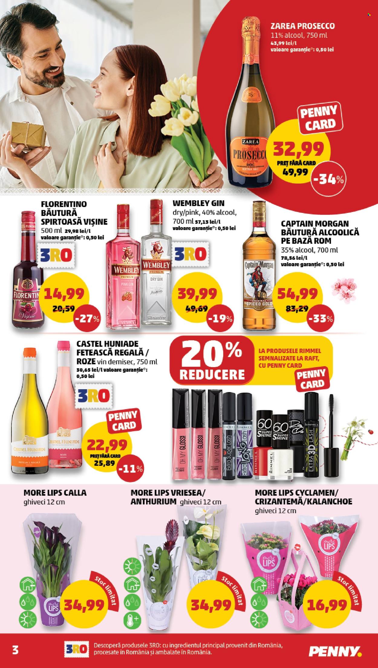 Catalog PENNY - 25.02.2026 - 03.03.2026. Pagina 3