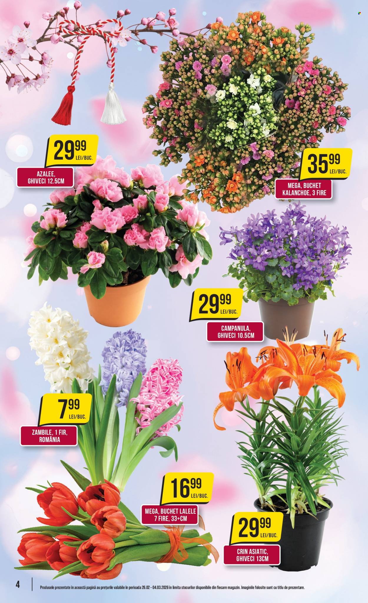 Catalog Mega Image - 26.02.2026 - 04.03.2026. Pagina 4