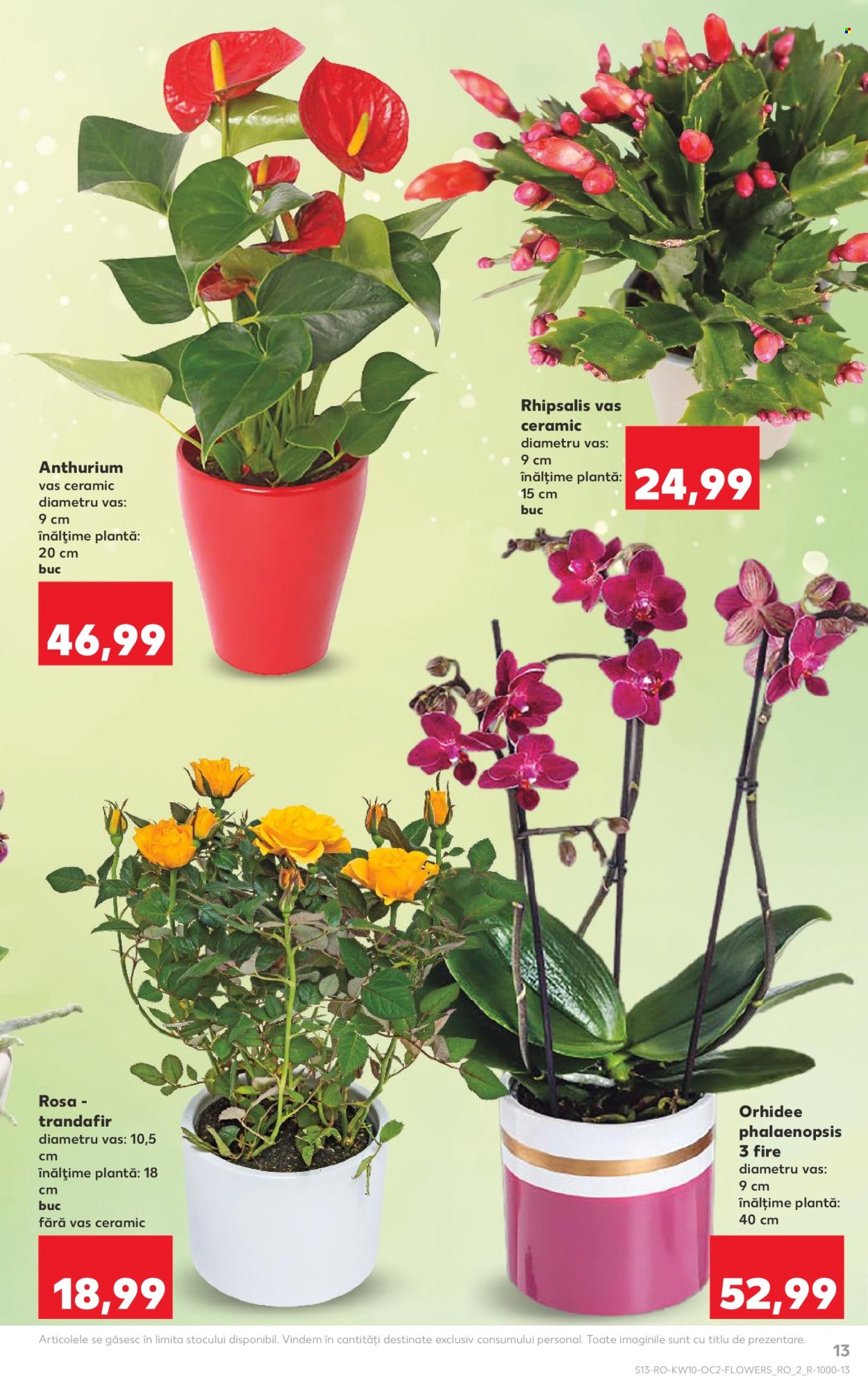 Catalog Kaufland - 04.03.2026 - 10.03.2026. Pagina 13
