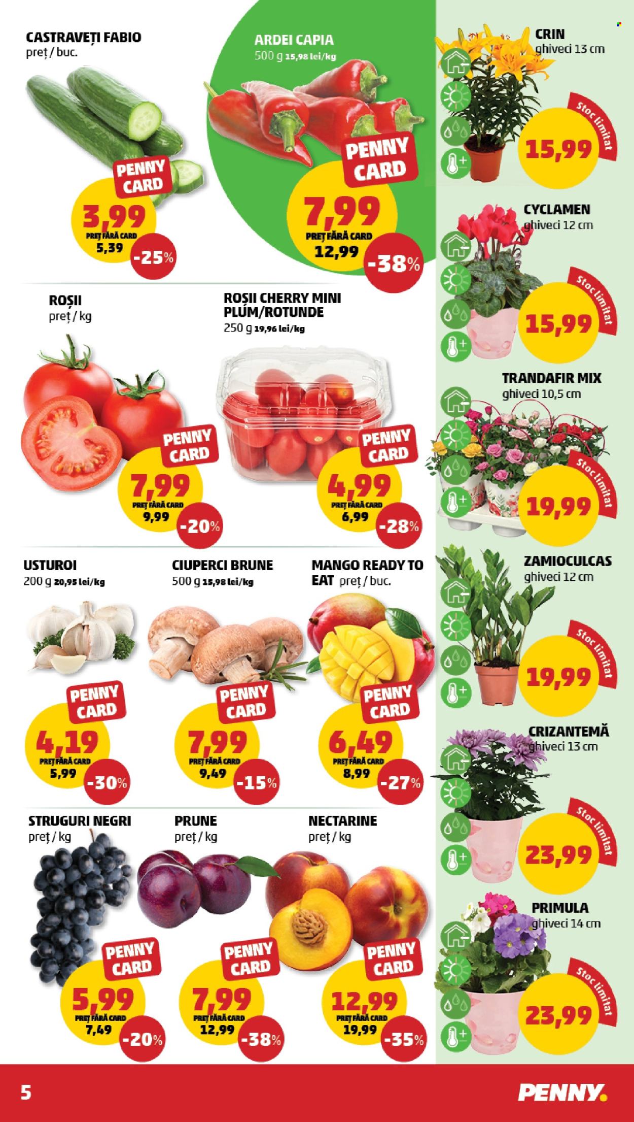 Catalog PENNY - 04.03.2026 - 10.03.2026. Pagina 5