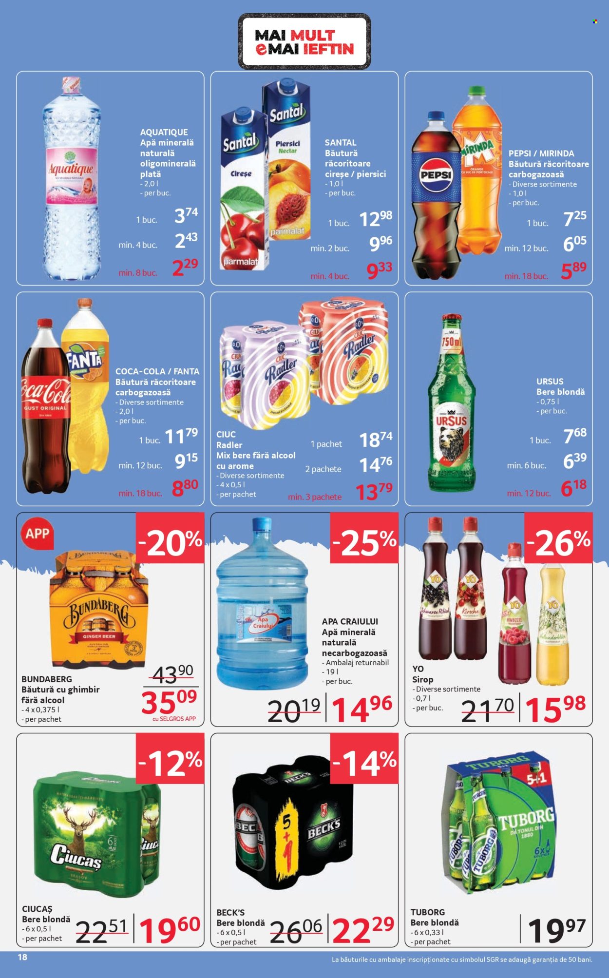 Catalog Selgros - 06.03.2026 - 19.03.2026. Pagina 18