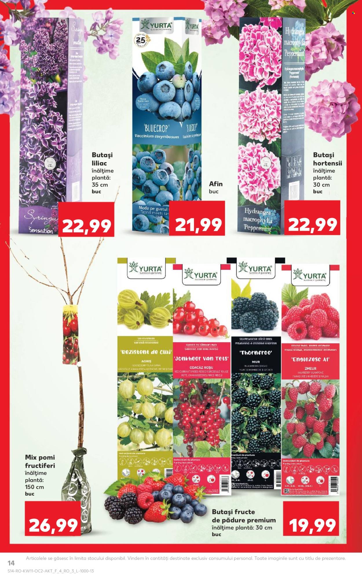 Catalog Kaufland - 11.03.2026 - 17.03.2026. Pagina 14