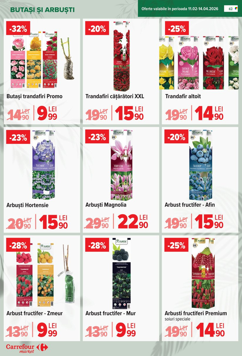 Catalog Carrefour - 18.03.2026 - 24.03.2026. Pagina 45