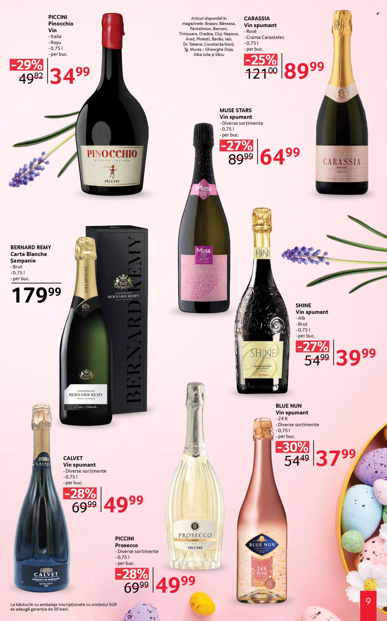 Catalog Selgros - 20.03.2026 - 24.04.2026. Pagina 9