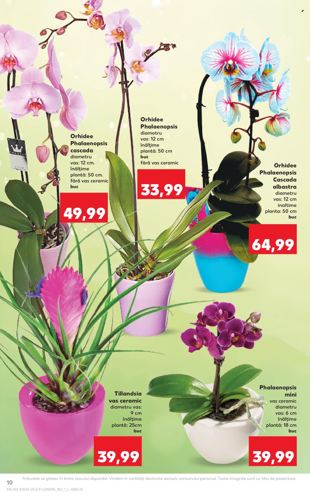 Catalog Kaufland - 01.04.2026 - 07.04.2026. Pagina 10