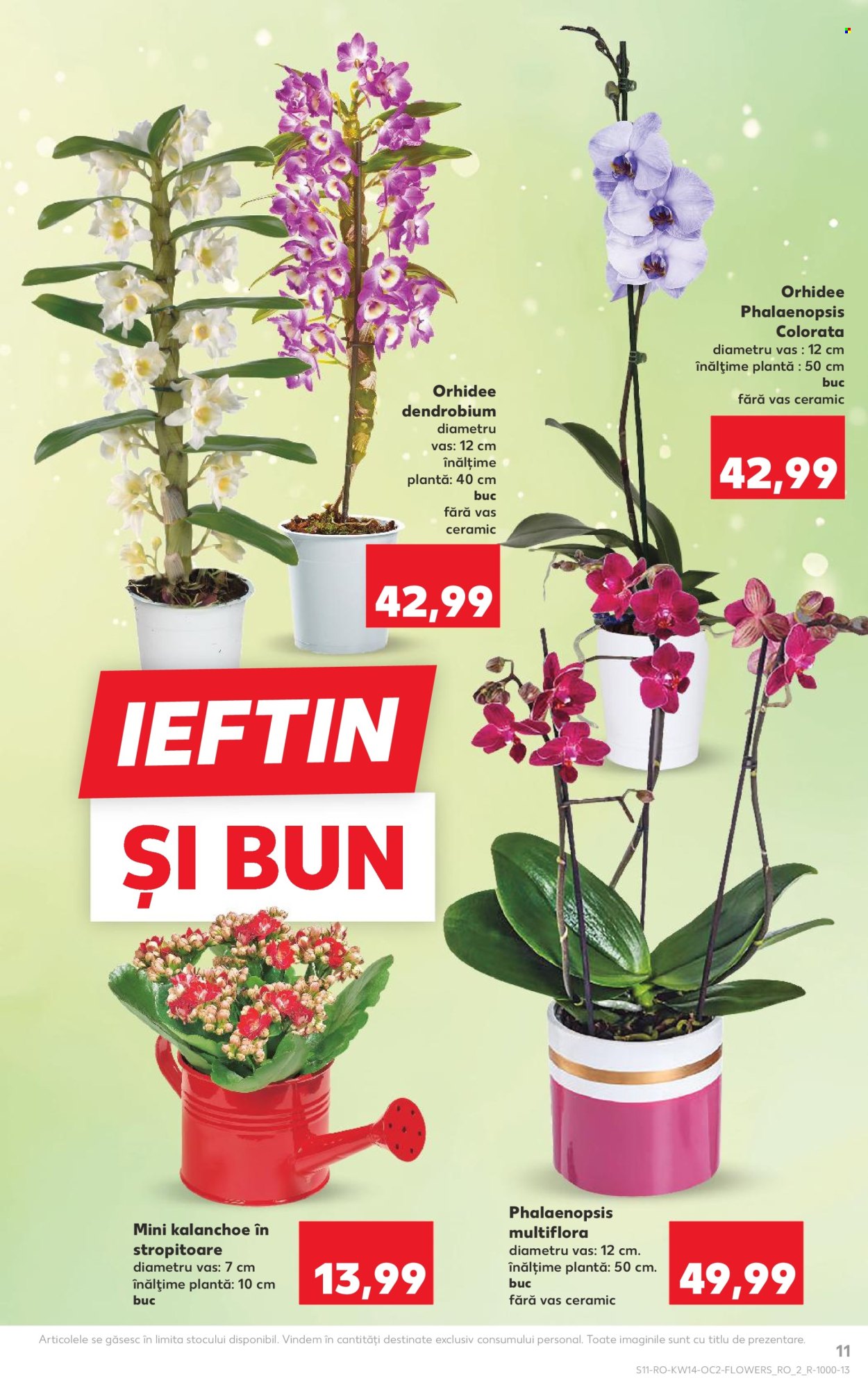 Catalog Kaufland - 01.04.2026 - 07.04.2026. Pagina 11