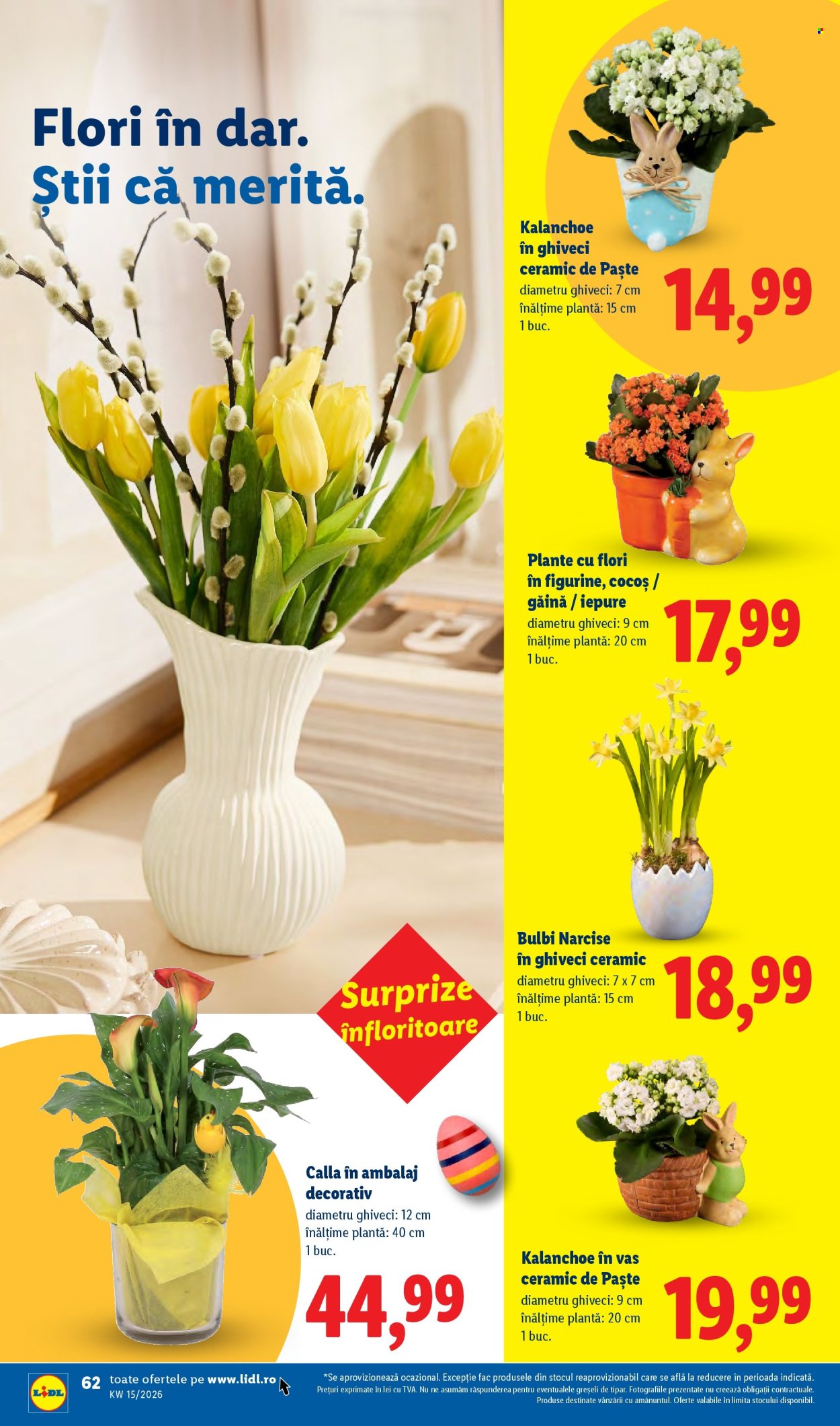 Catalog Lidl - 06.04.2026 - 11.04.2026. Pagina 62