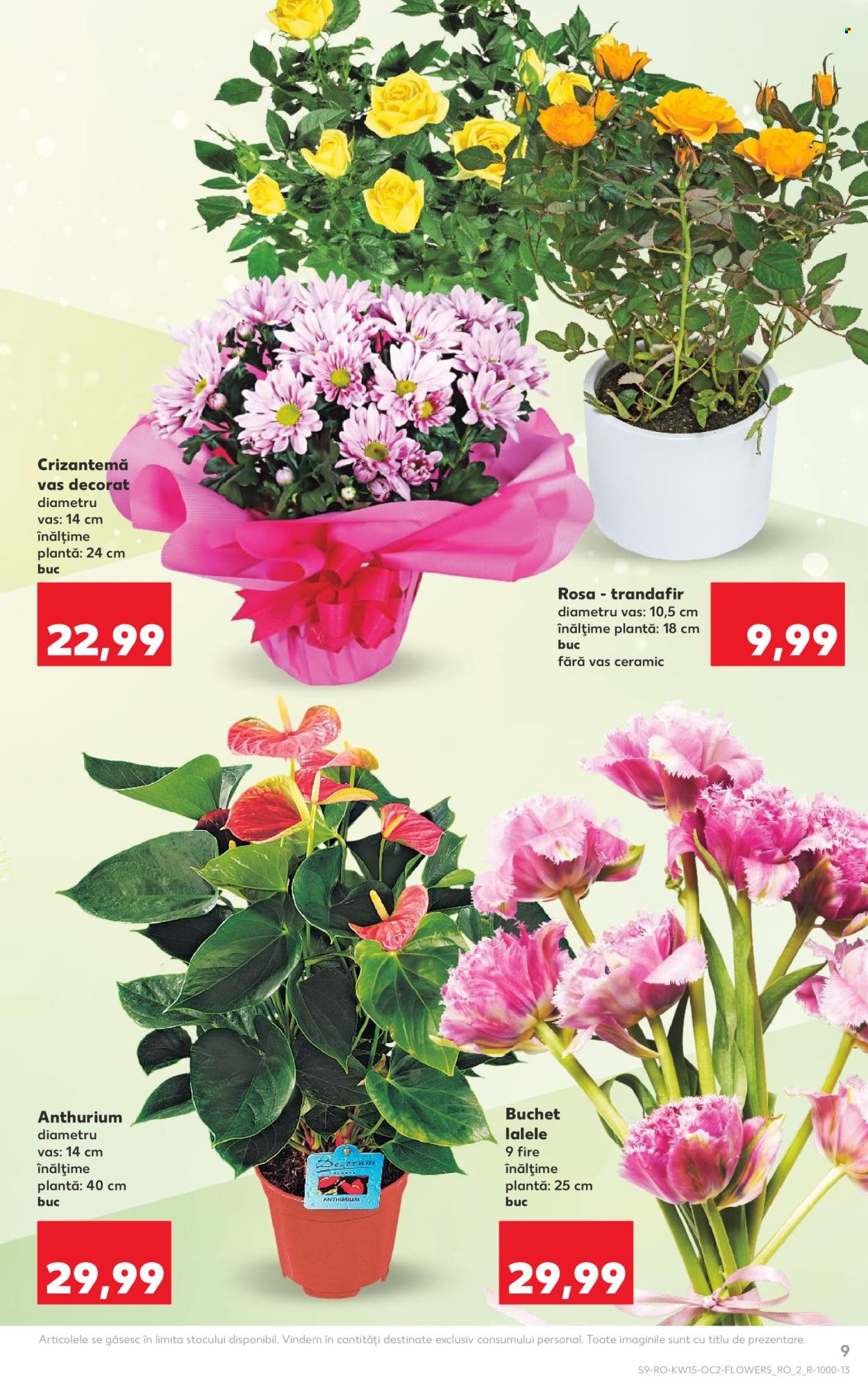 Catalog Kaufland - 08.04.2026 - 14.04.2026. Pagina 9
