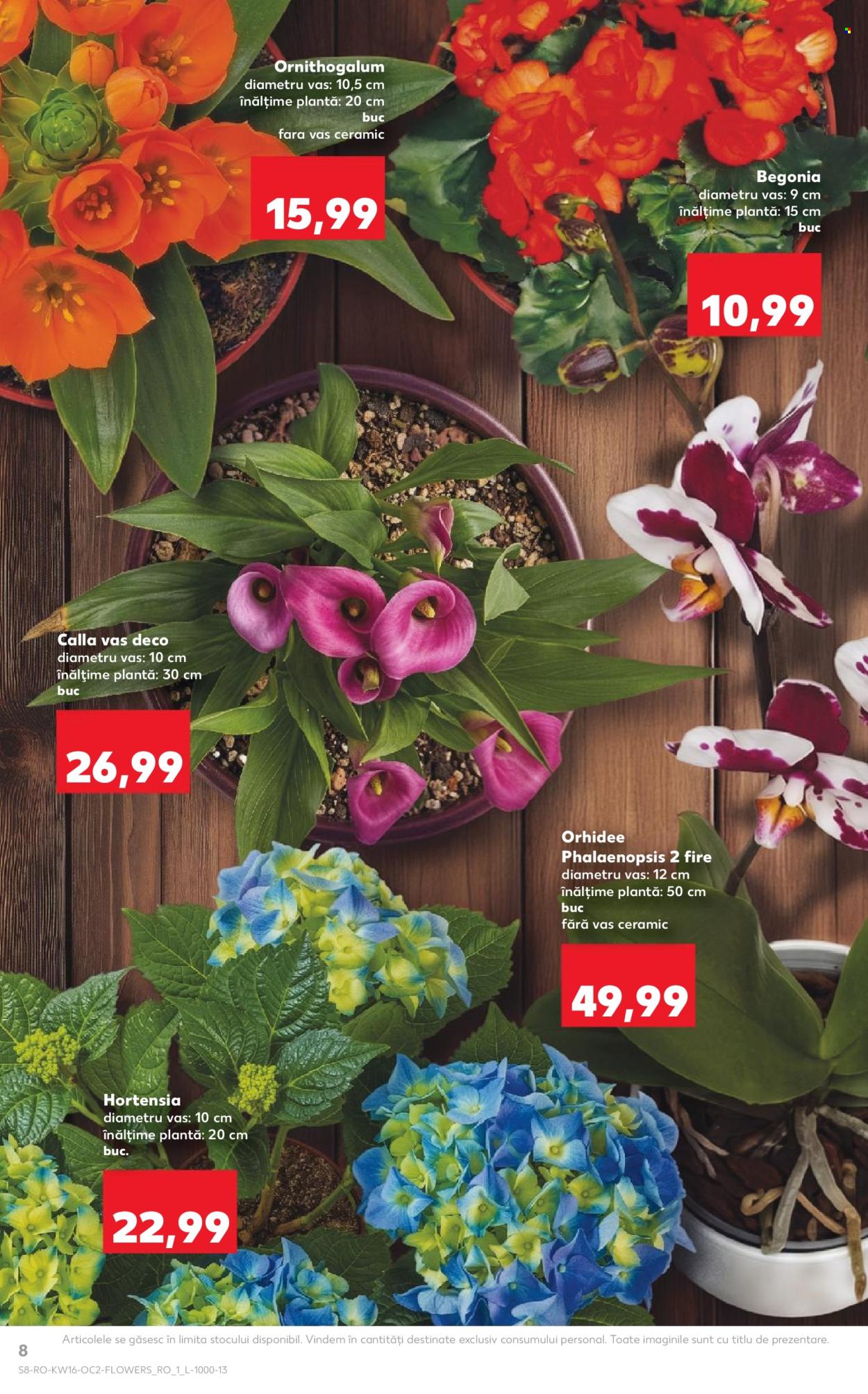 Catalog Kaufland - 15.04.2026 - 21.04.2026. Pagina 8