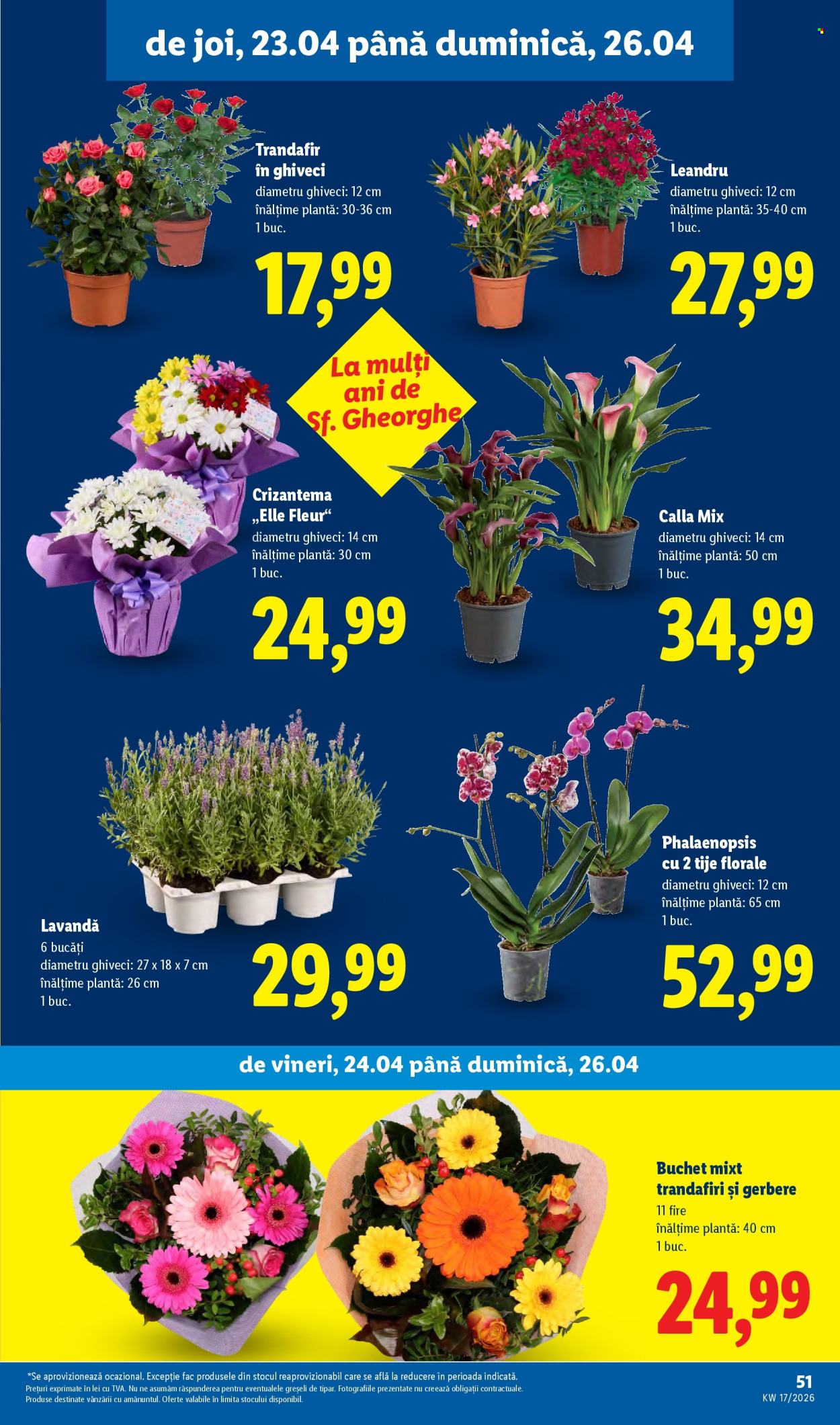 Catalog Lidl - 20.04.2026 - 26.04.2026. Pagina 51