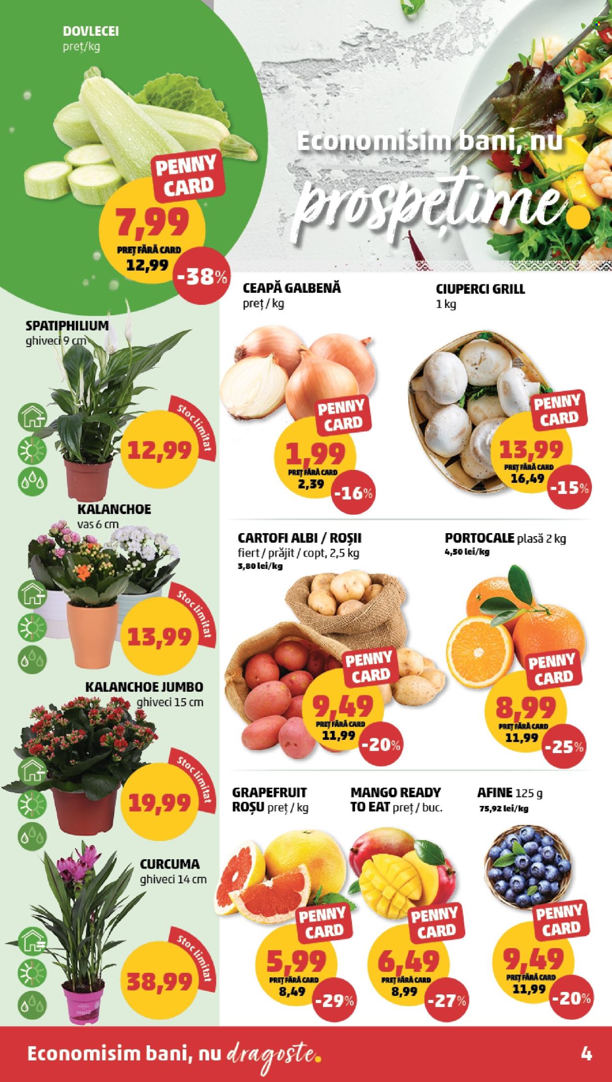 Catalog PENNY - 15.04.2026 - 21.04.2026. Pagina 4