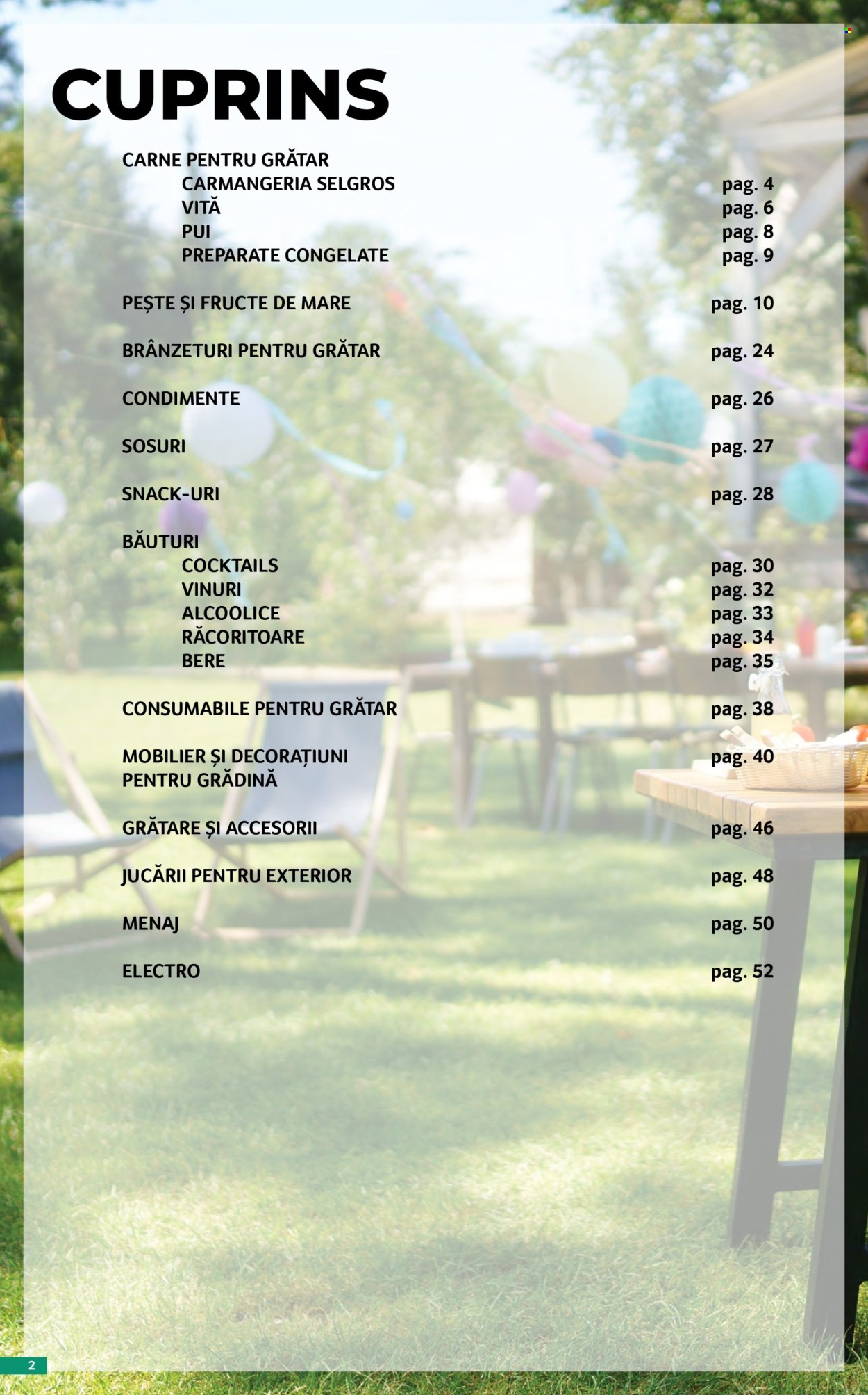 Catalog Selgros - 17.04.2026 - 14.05.2026. Pagina 2