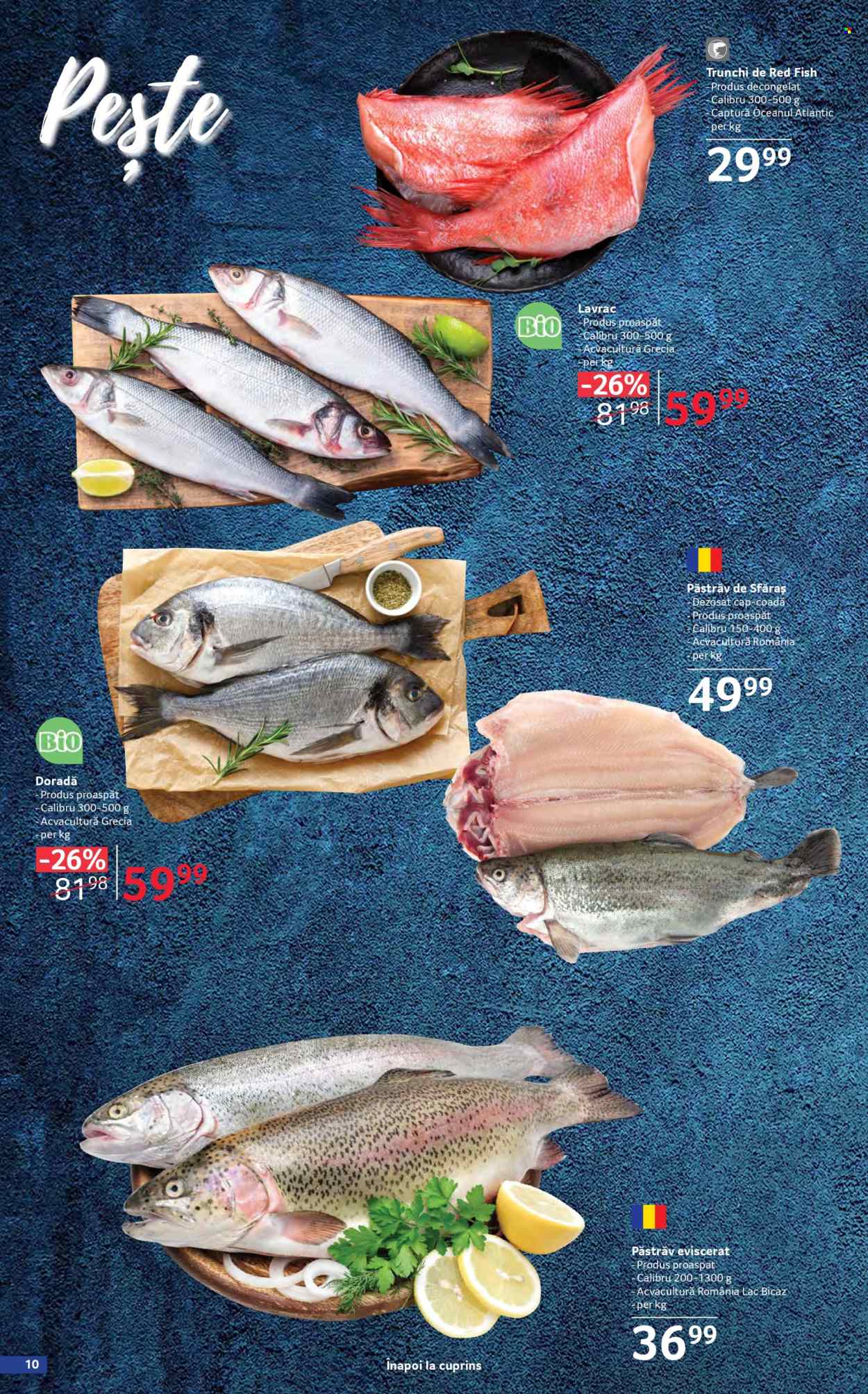 Catalog Selgros - 17.04.2026 - 14.05.2026. Pagina 10