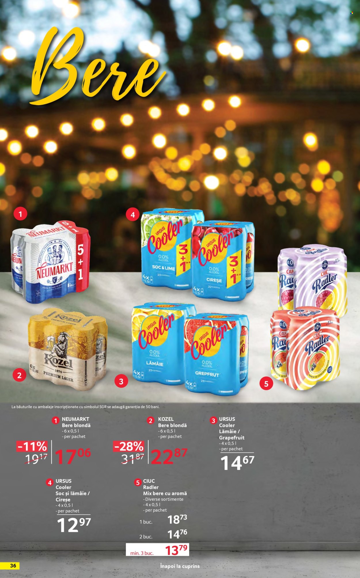 Catalog Selgros - 17.04.2026 - 14.05.2026. Pagina 36