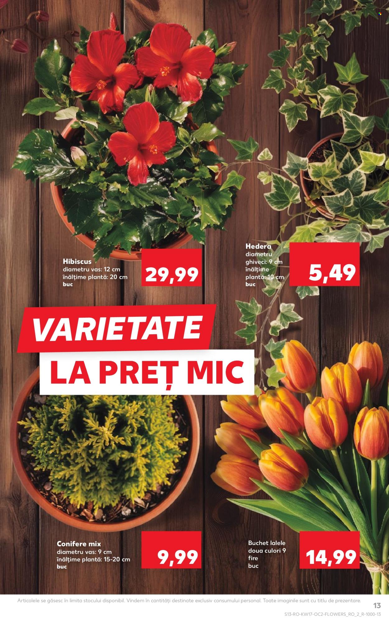 Catalog Kaufland. Pagina 13