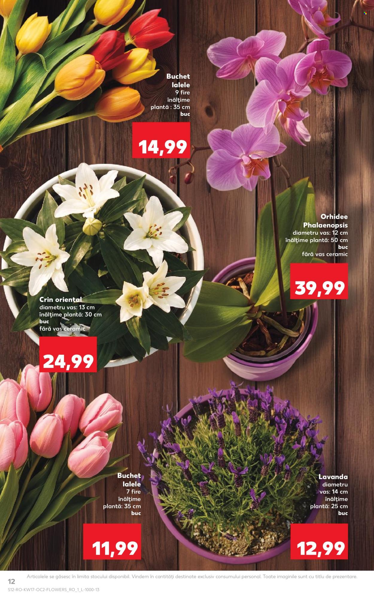Catalog Kaufland - 22.04.2026 - 28.04.2026. Pagina 12