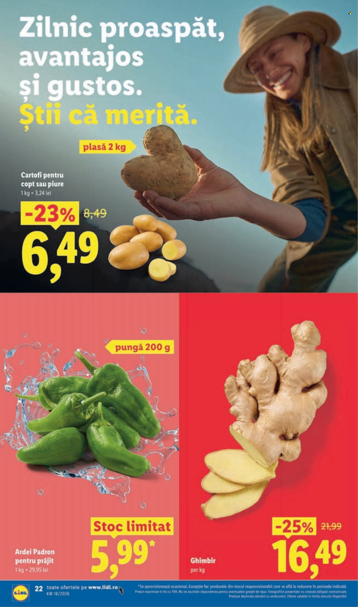 Catalog Lidl - 27.04.2026 - 03.05.2026. Pagina 22