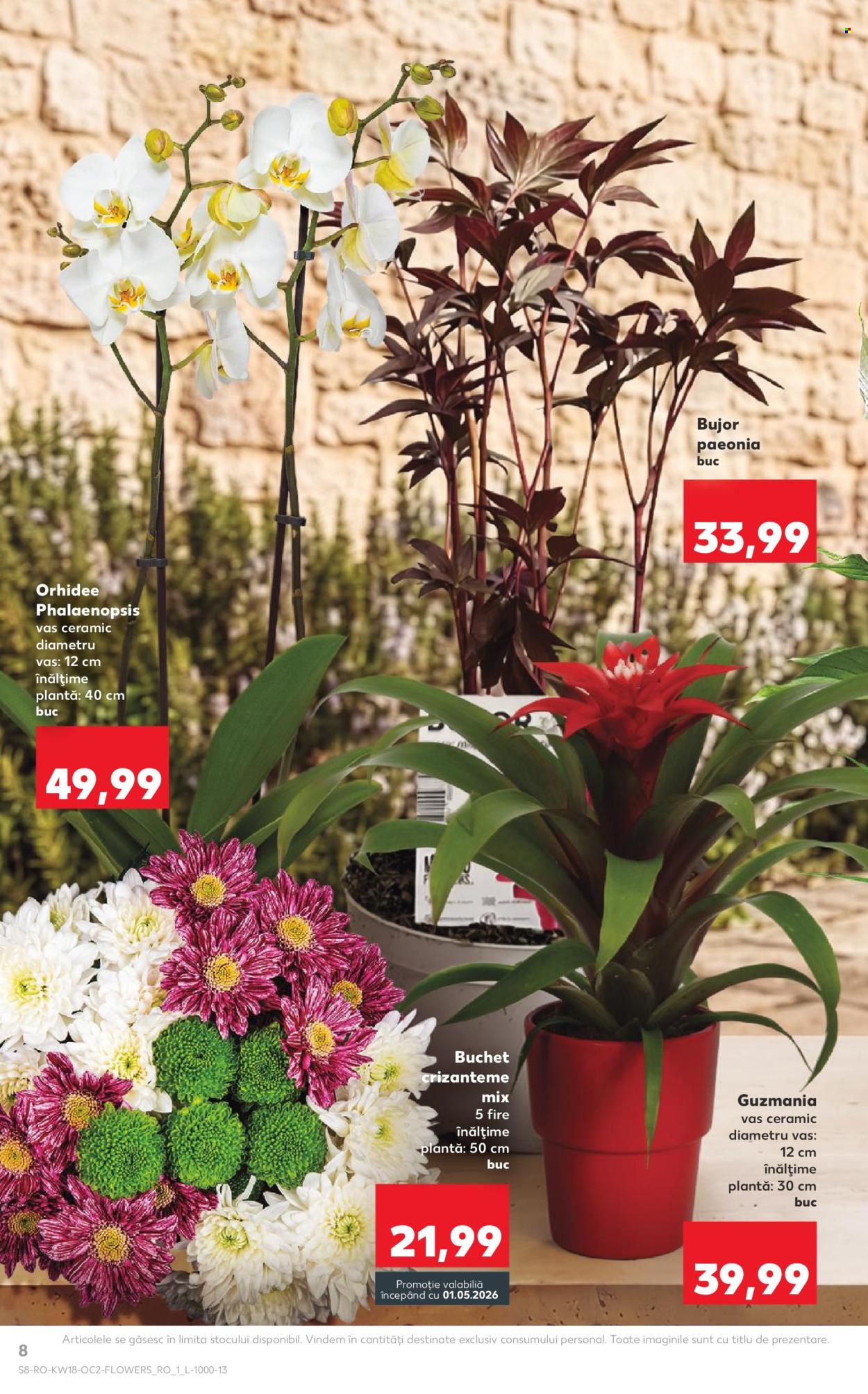 Catalog Kaufland - 29.04.2026 - 05.05.2026. Pagina 8