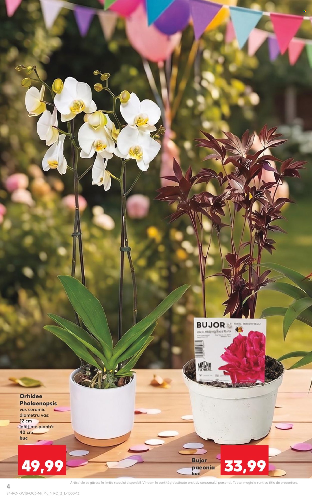 Catalog Kaufland - 29.04.2026 - 05.05.2026. Pagina 4