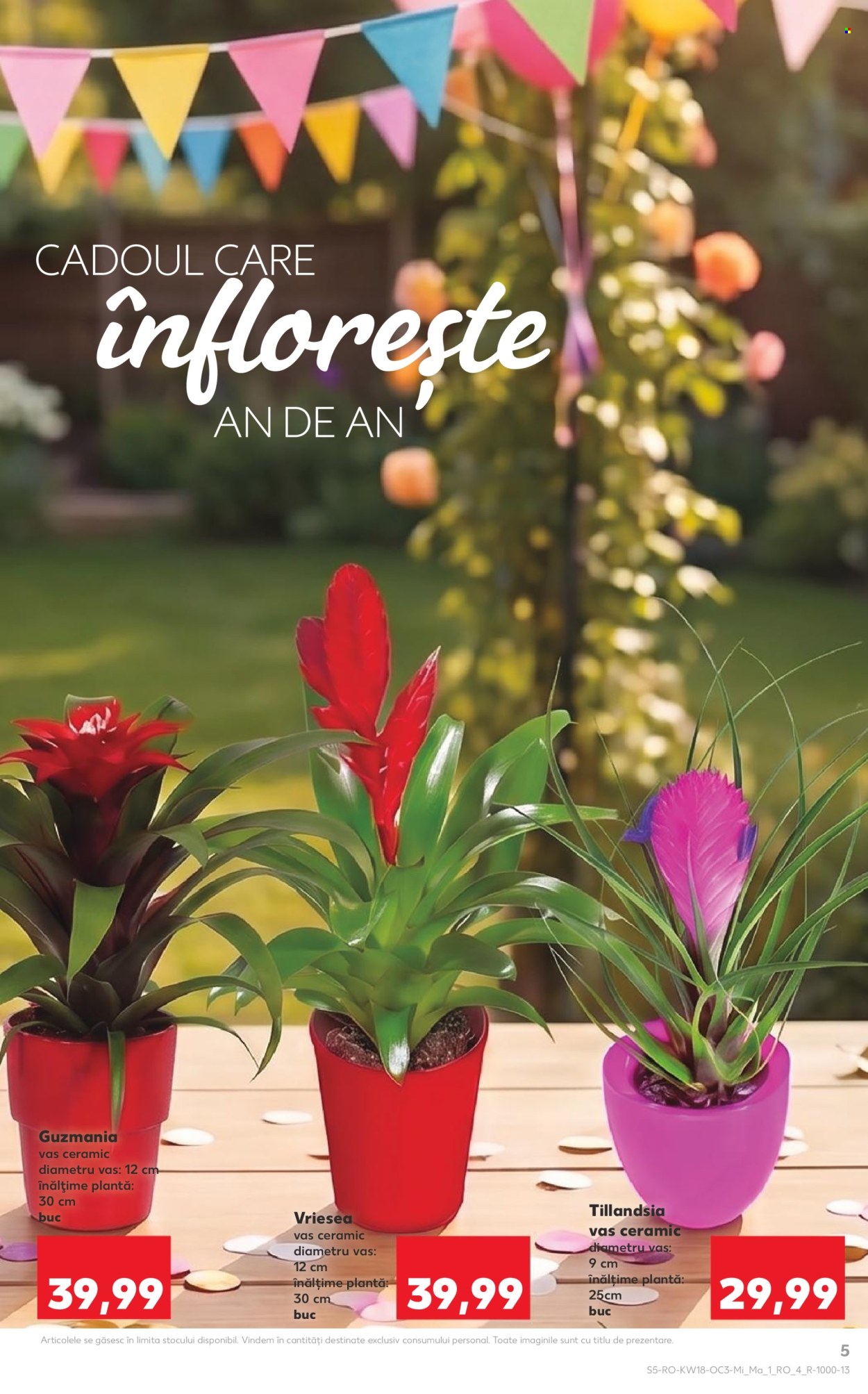 Catalog Kaufland - 29.04.2026 - 05.05.2026. Pagina 5