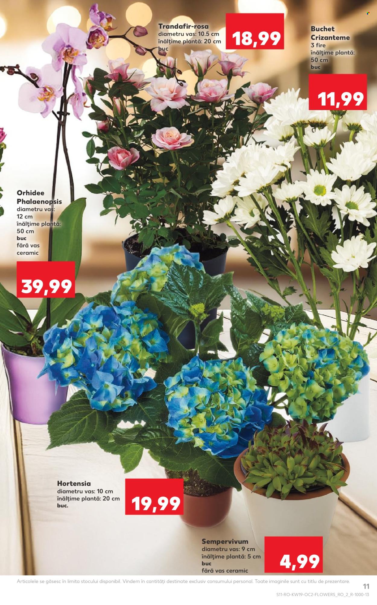 Catalog Kaufland - 06.05.2026 - 12.05.2026. Pagina 11