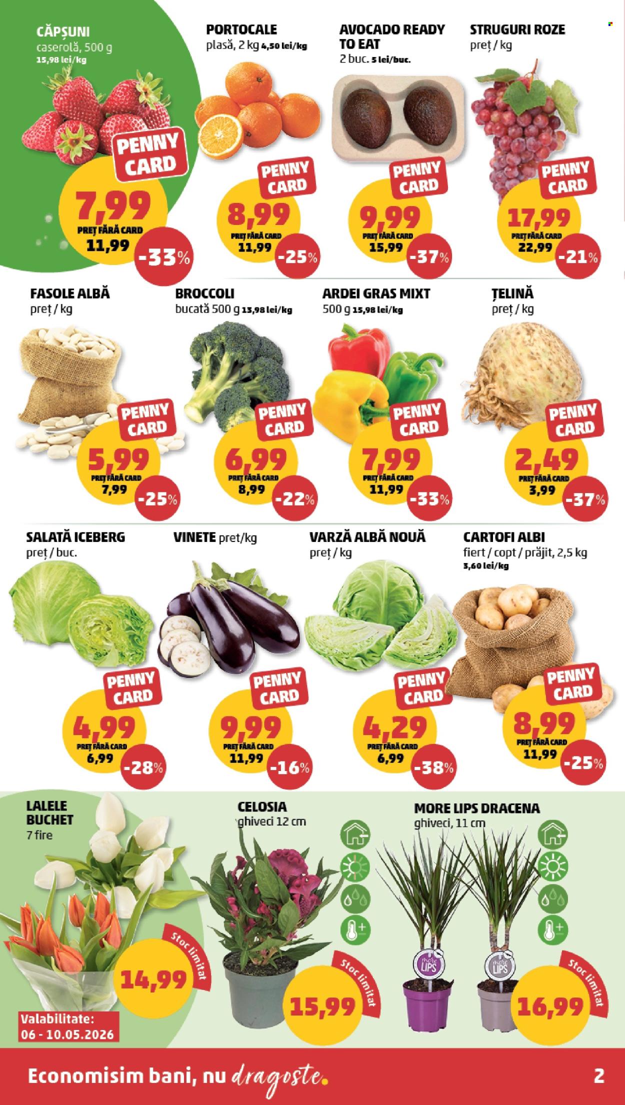 Catalog PENNY - 06.05.2026 - 12.05.2026. Pagina 2