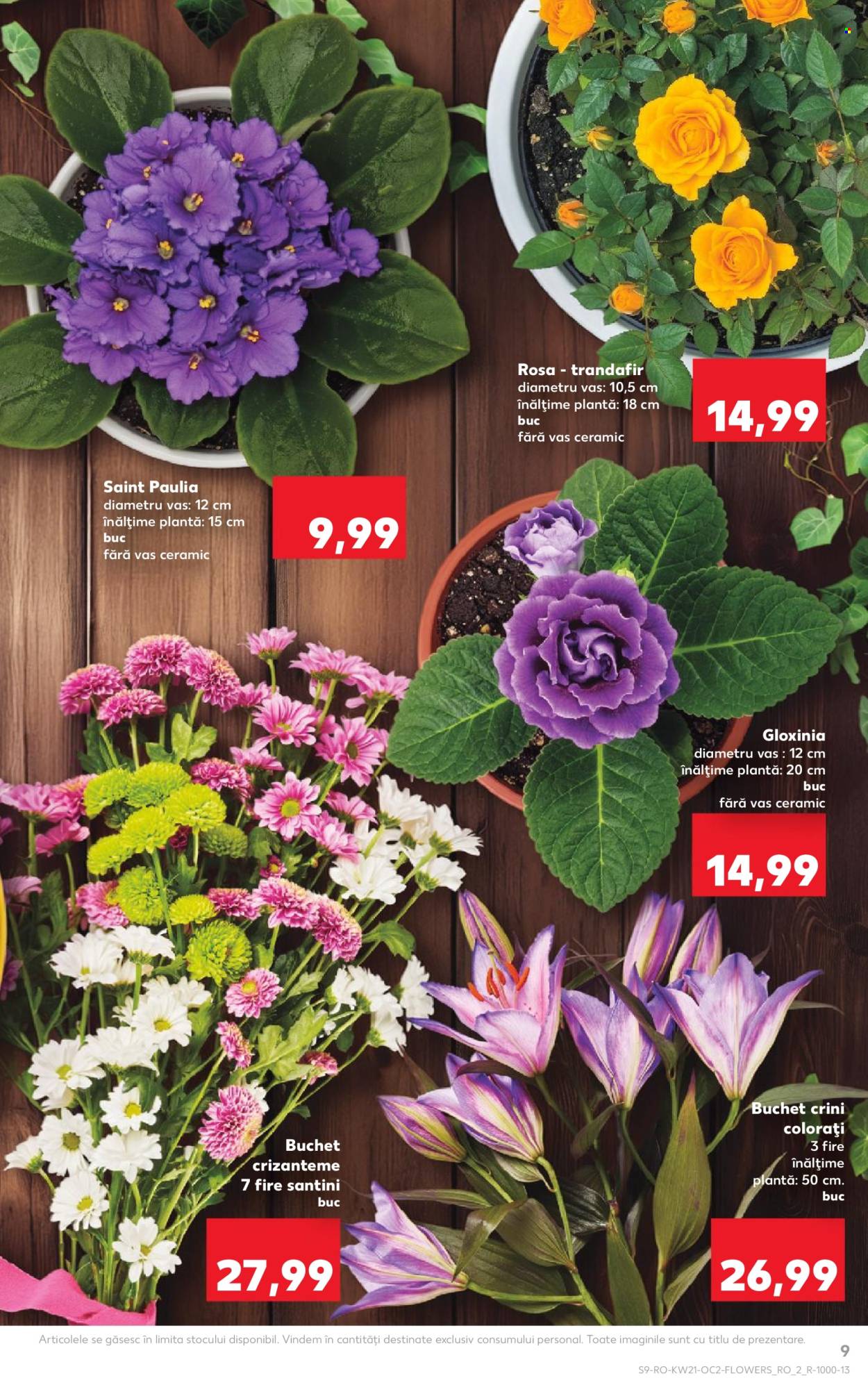 Catalog Kaufland - 20.05.2026 - 26.05.2026. Pagina 9