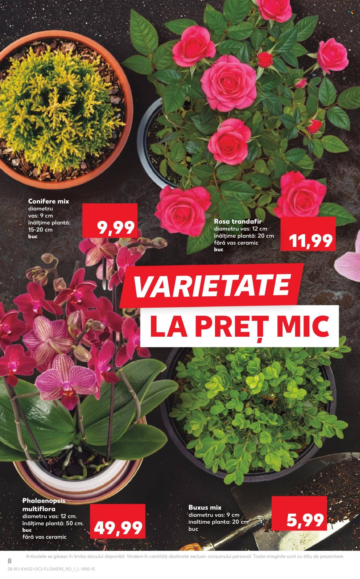 Catalog Kaufland - 27.05.2026 - 02.06.2026. Pagina 8