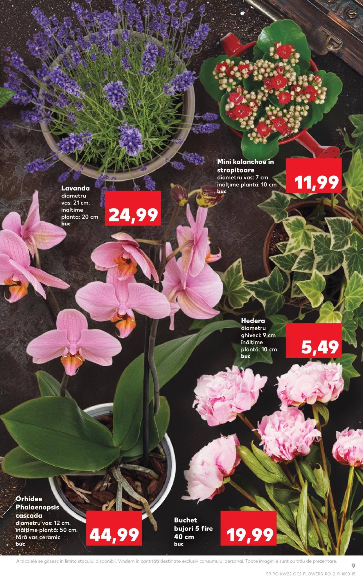Catalog Kaufland - 27.05.2026 - 02.06.2026. Pagina 9