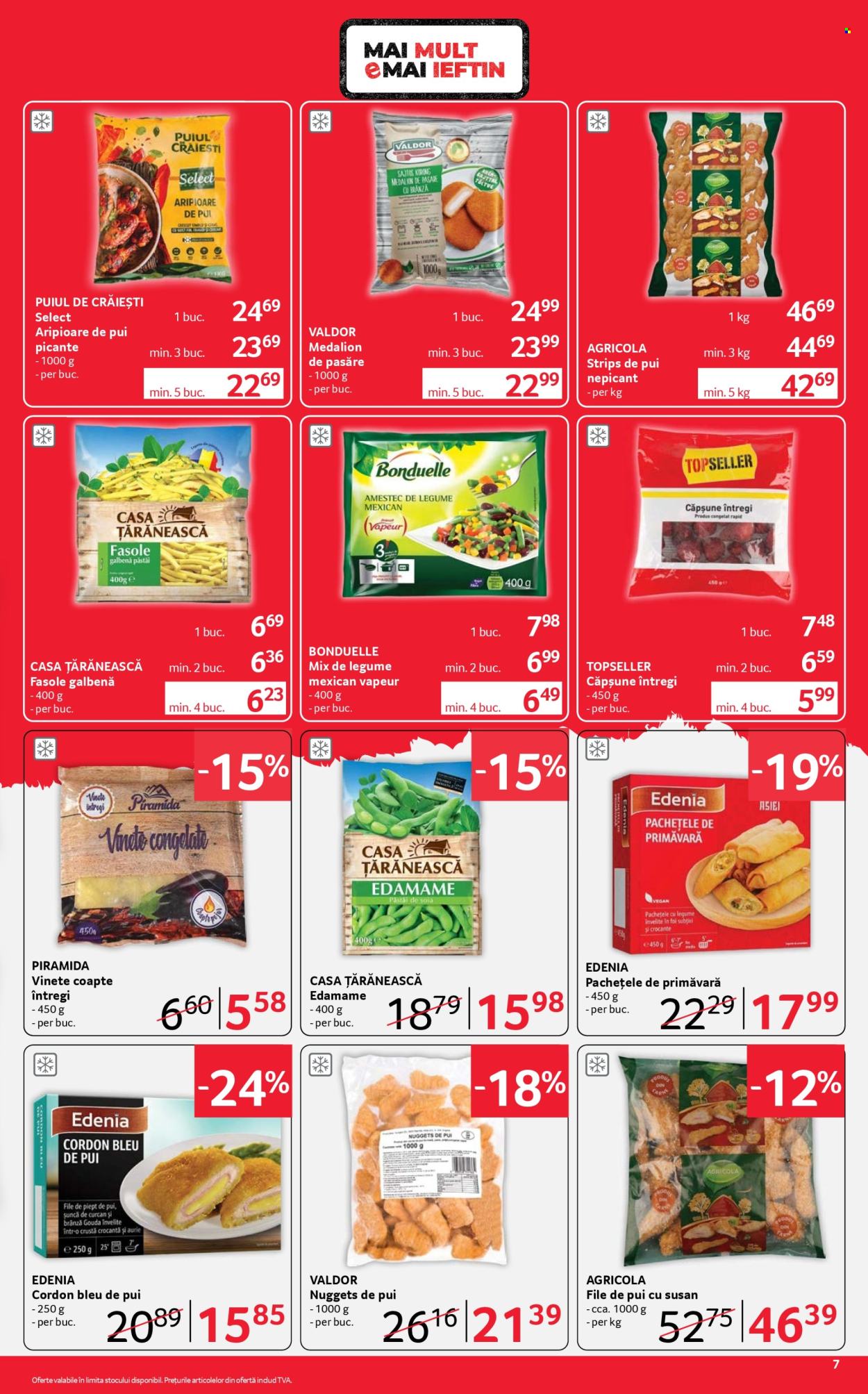 Catalog Selgros - 10.07.2026 - 23.07.2026. Pagina 7