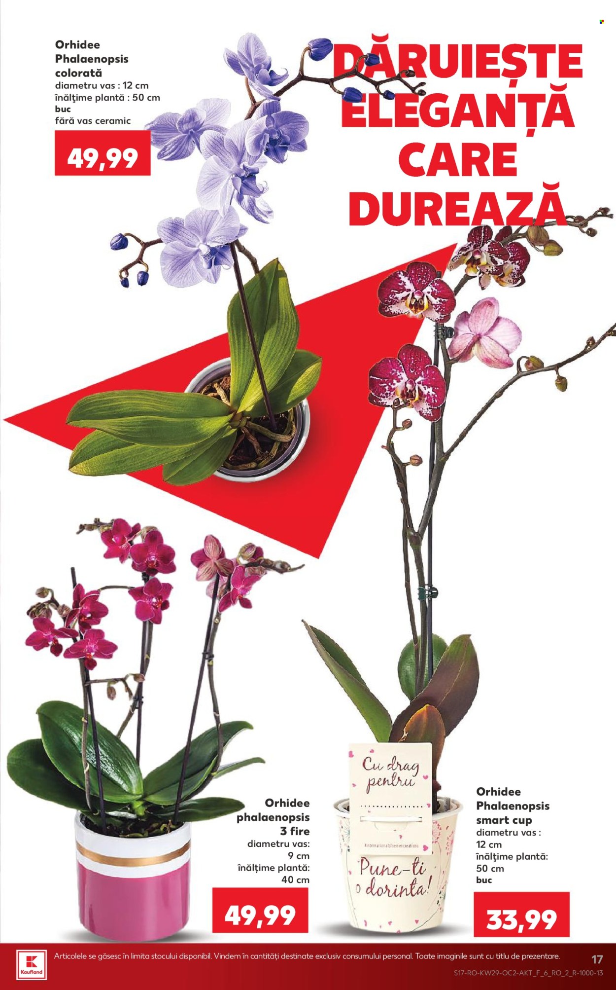 Catalog Kaufland - 15.07.2026 - 21.07.2026. Pagina 17