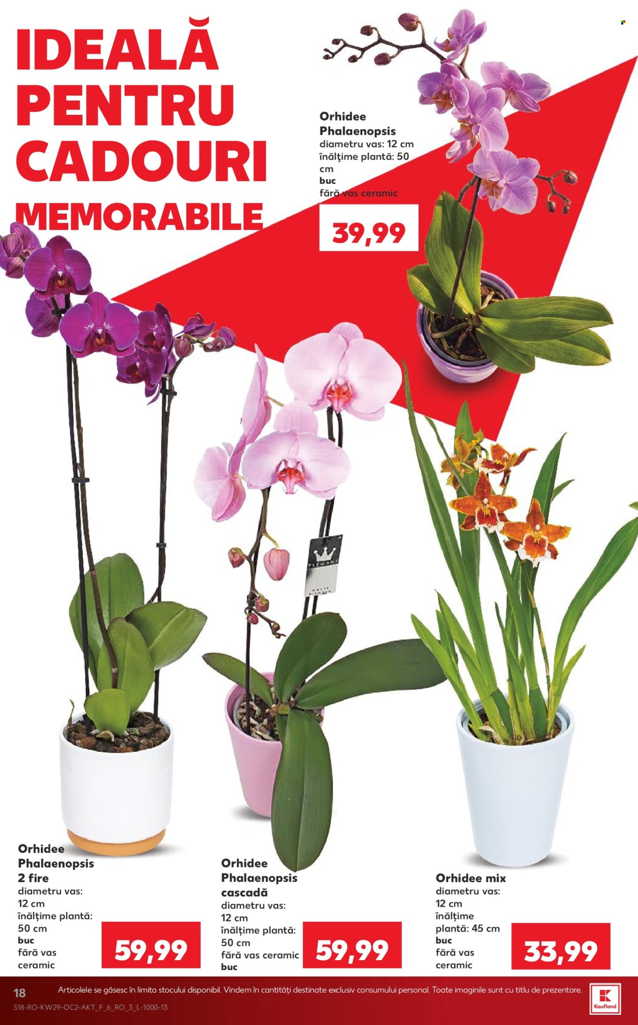 Catalog Kaufland - 15.07.2026 - 21.07.2026. Pagina 18