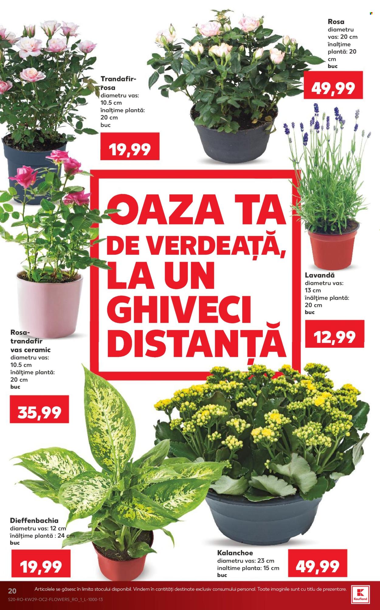 Catalog Kaufland - 15.07.2026 - 21.07.2026. Pagina 20
