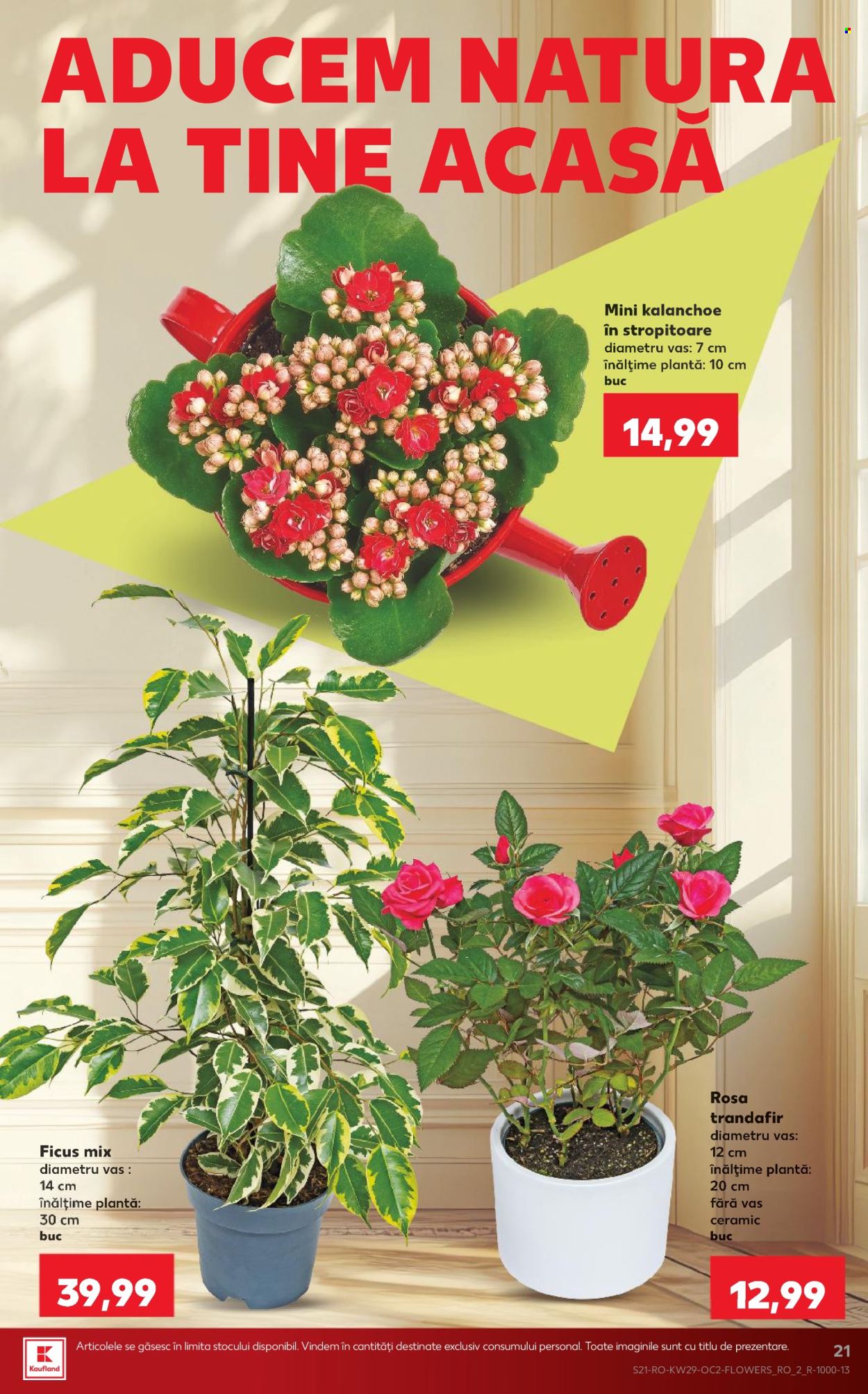Catalog Kaufland - 15.07.2026 - 21.07.2026. Pagina 21