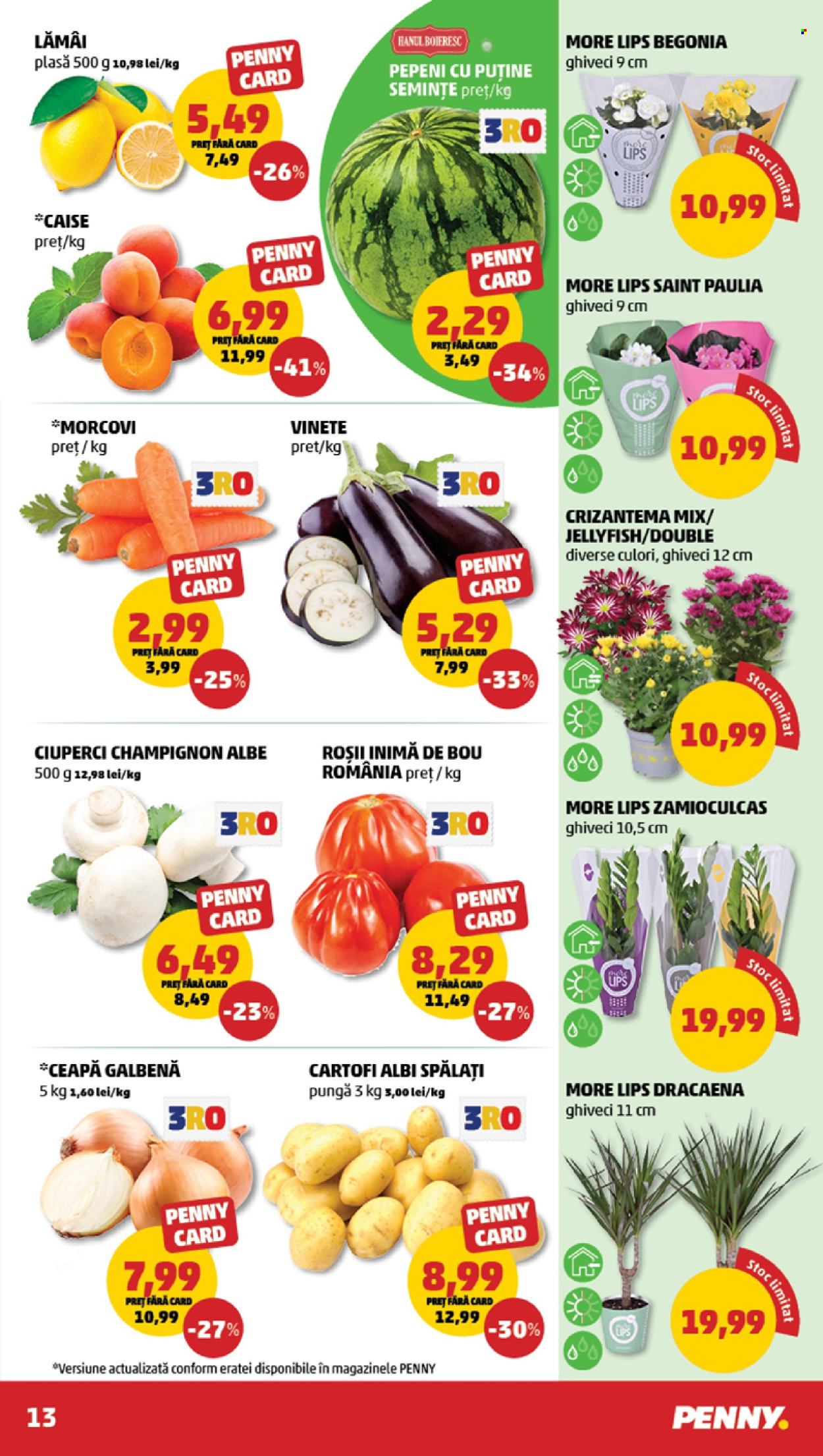 Catalog PENNY - 15.07.2026 - 21.07.2026. Pagina 13