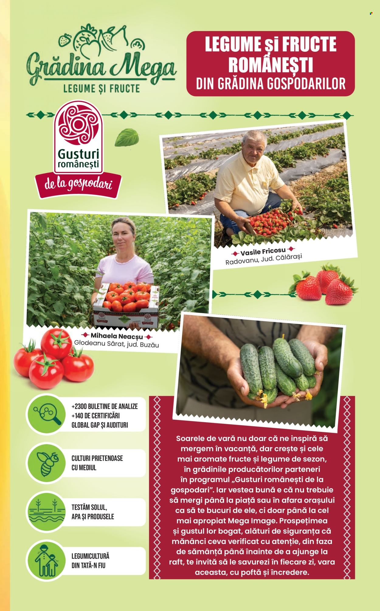 Catalog Mega Image - 16.07.2026 - 22.07.2026. Pagina 11