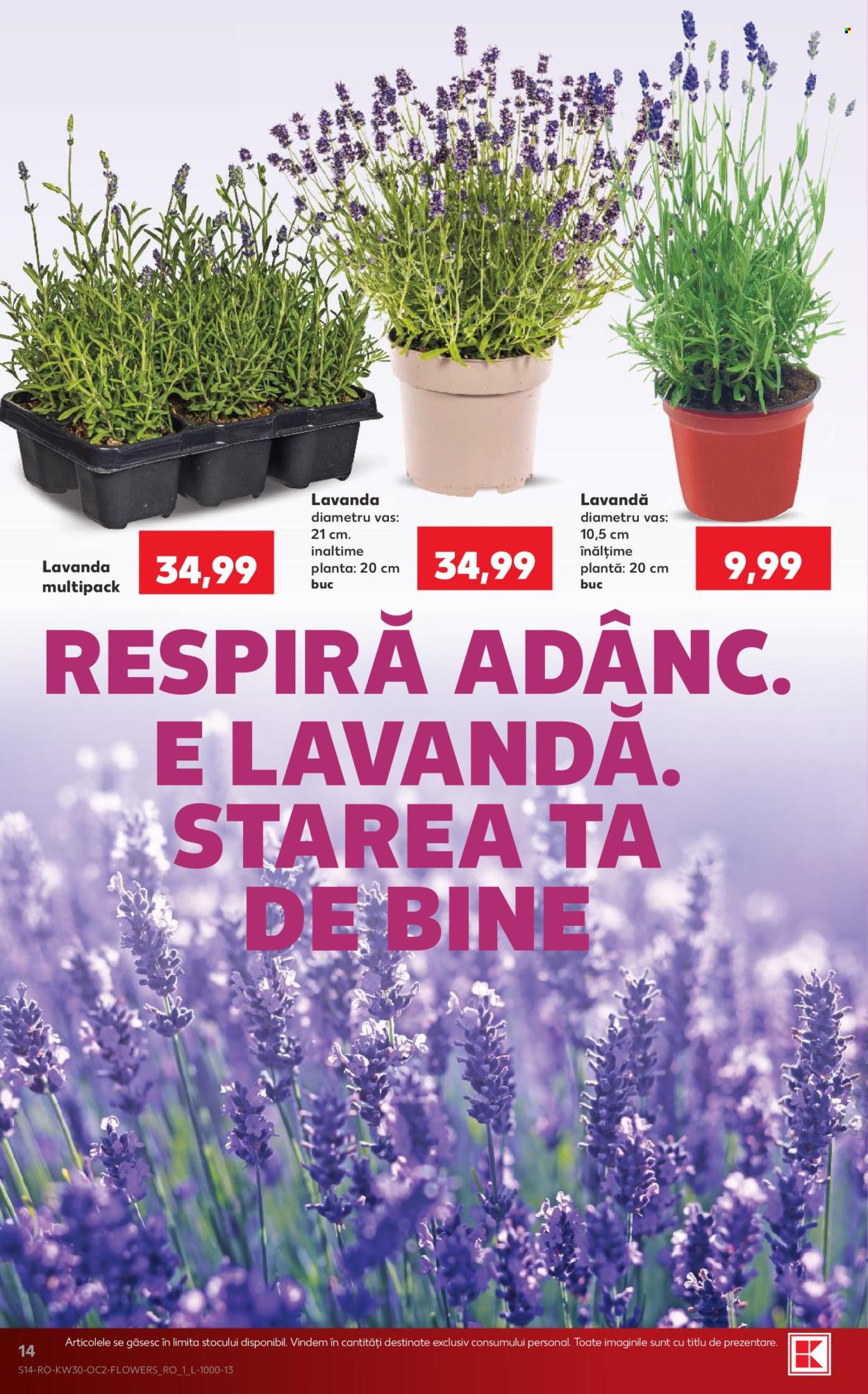 Catalog Kaufland - 22.07.2026 - 28.07.2026. Pagina 14