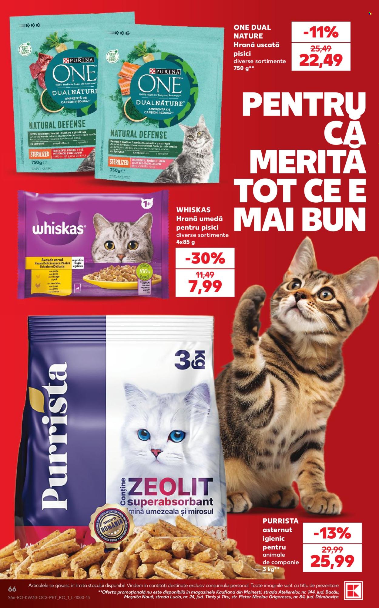 Catalog Kaufland - 22.07.2026 - 28.07.2026. Pagina 66
