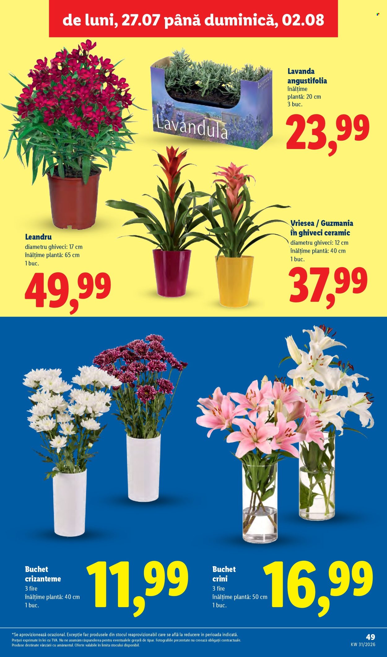 Catalog Lidl - 27.07.2026 - 02.08.2026. Pagina 49