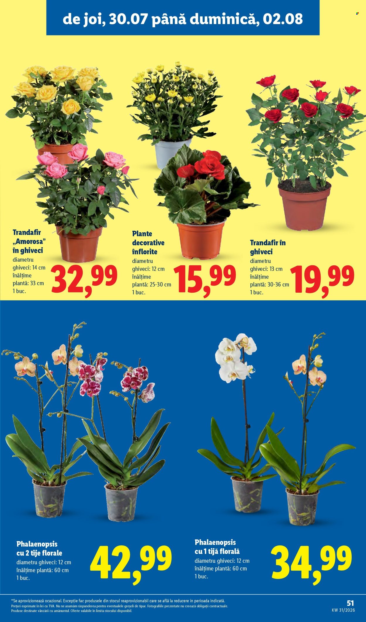 Catalog Lidl - 27.07.2026 - 02.08.2026. Pagina 51