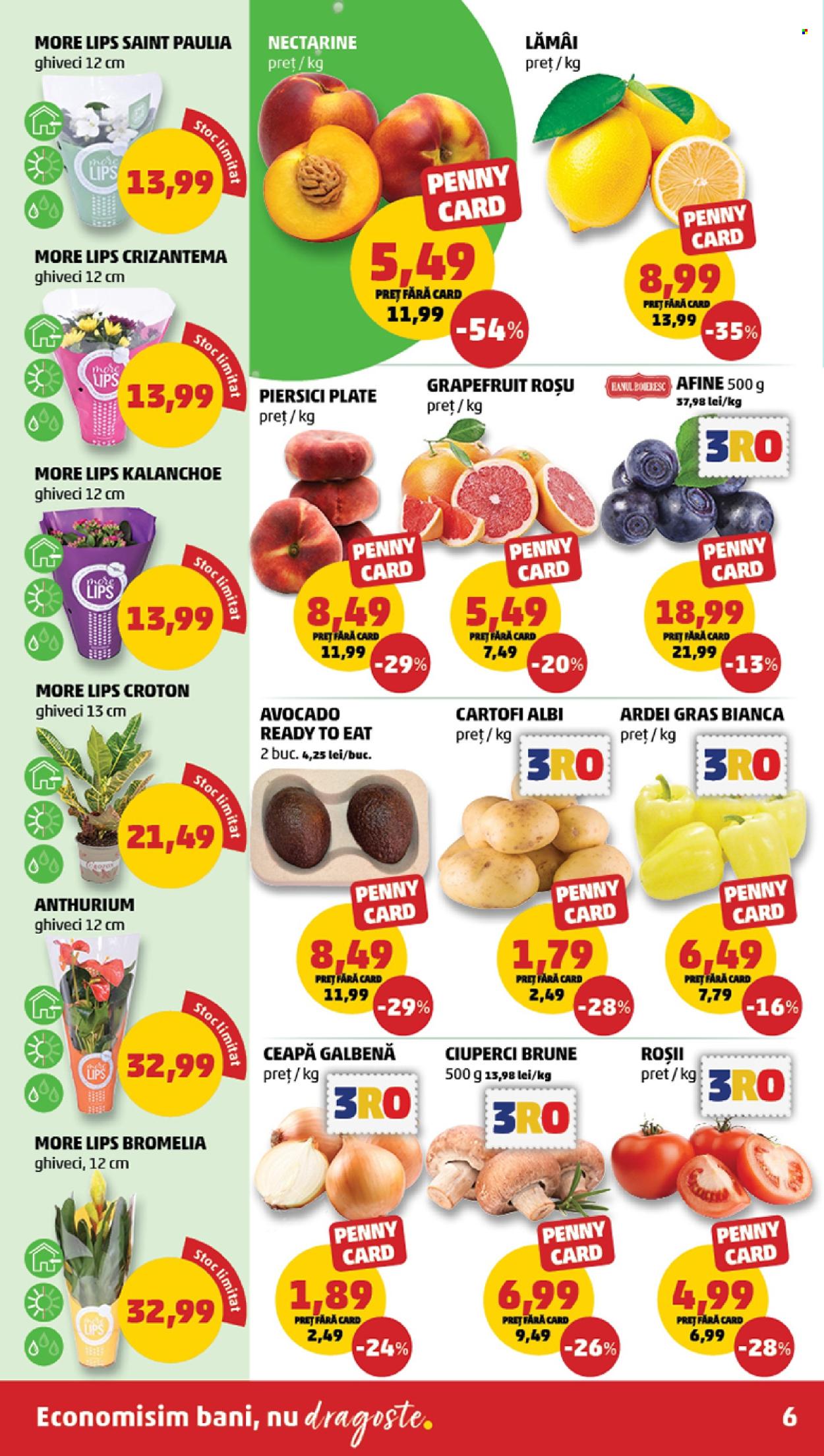 Catalog PENNY - 22.07.2026 - 28.07.2026. Pagina 6