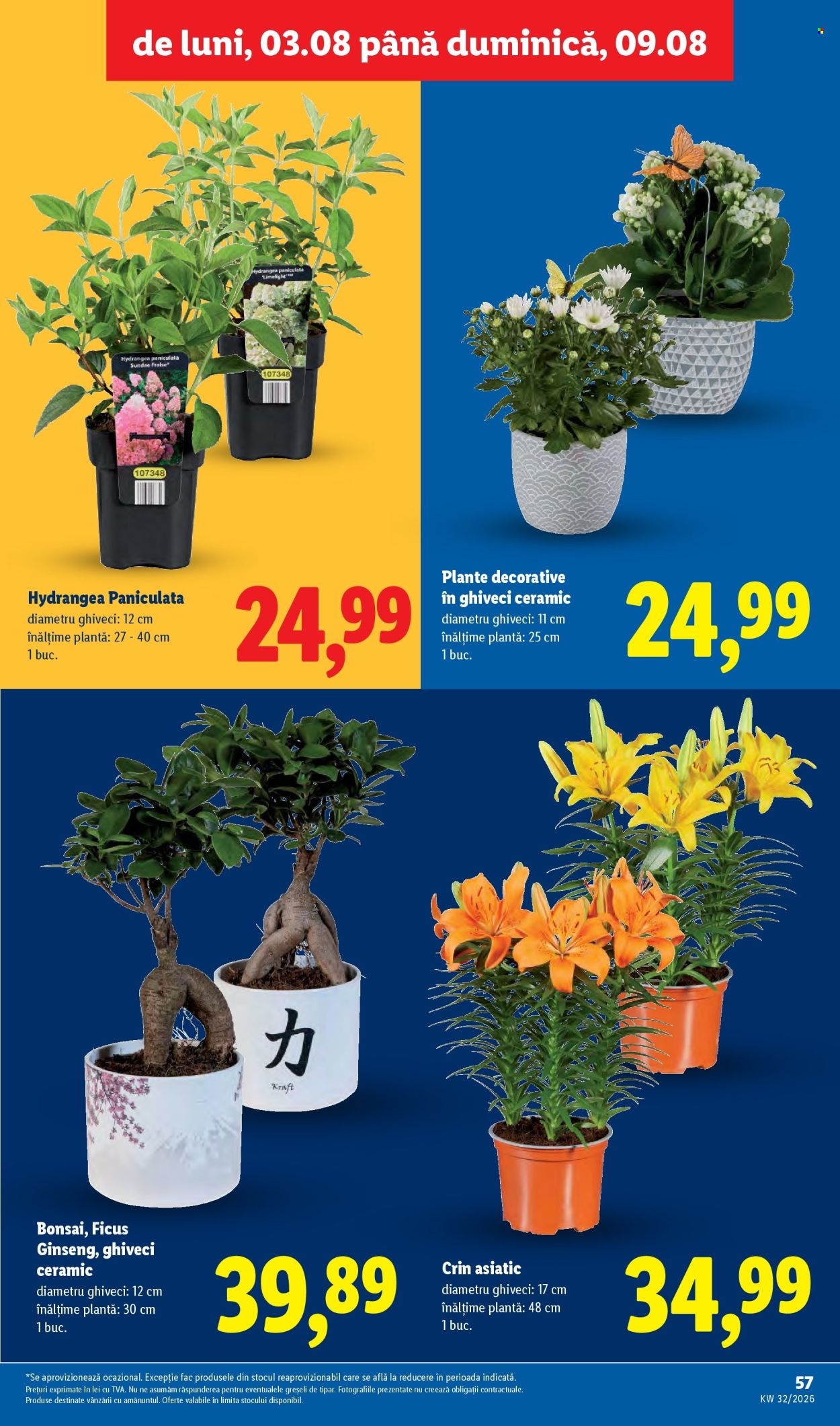 Catalog Lidl - 03.08.2026 - 09.08.2026. Pagina 57
