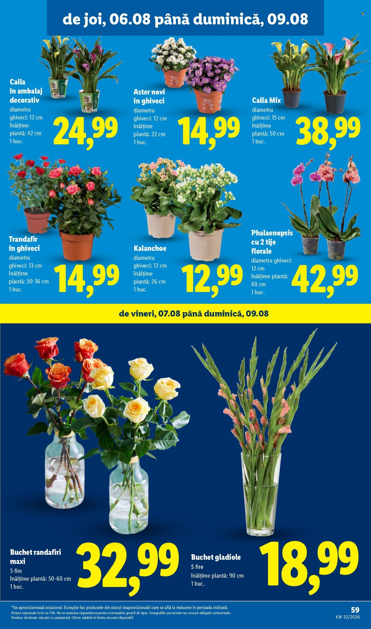 Catalog Lidl - 03.08.2026 - 09.08.2026. Pagina 59
