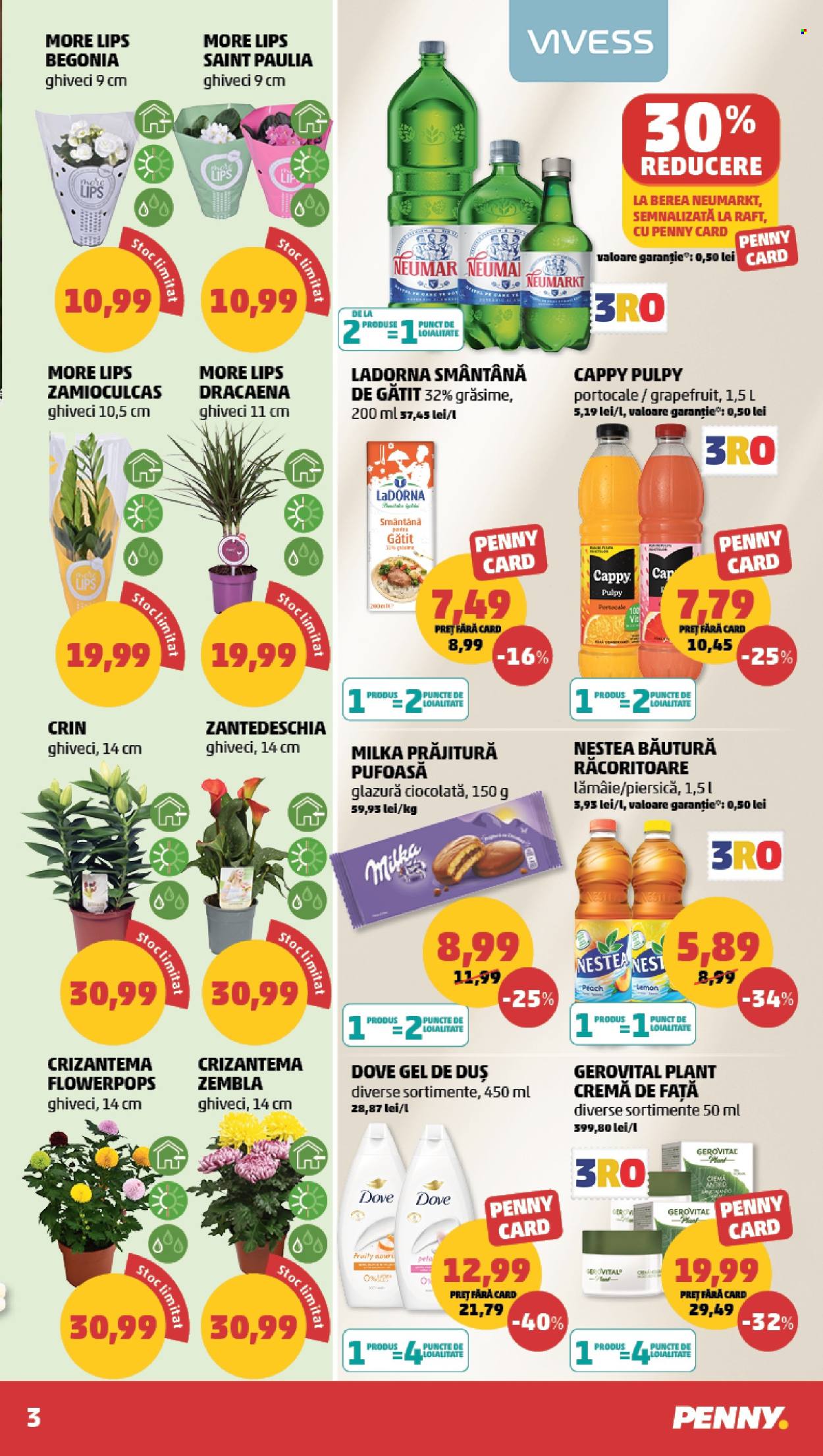 Catalog PENNY - 29.07.2026 - 04.08.2026. Pagina 3