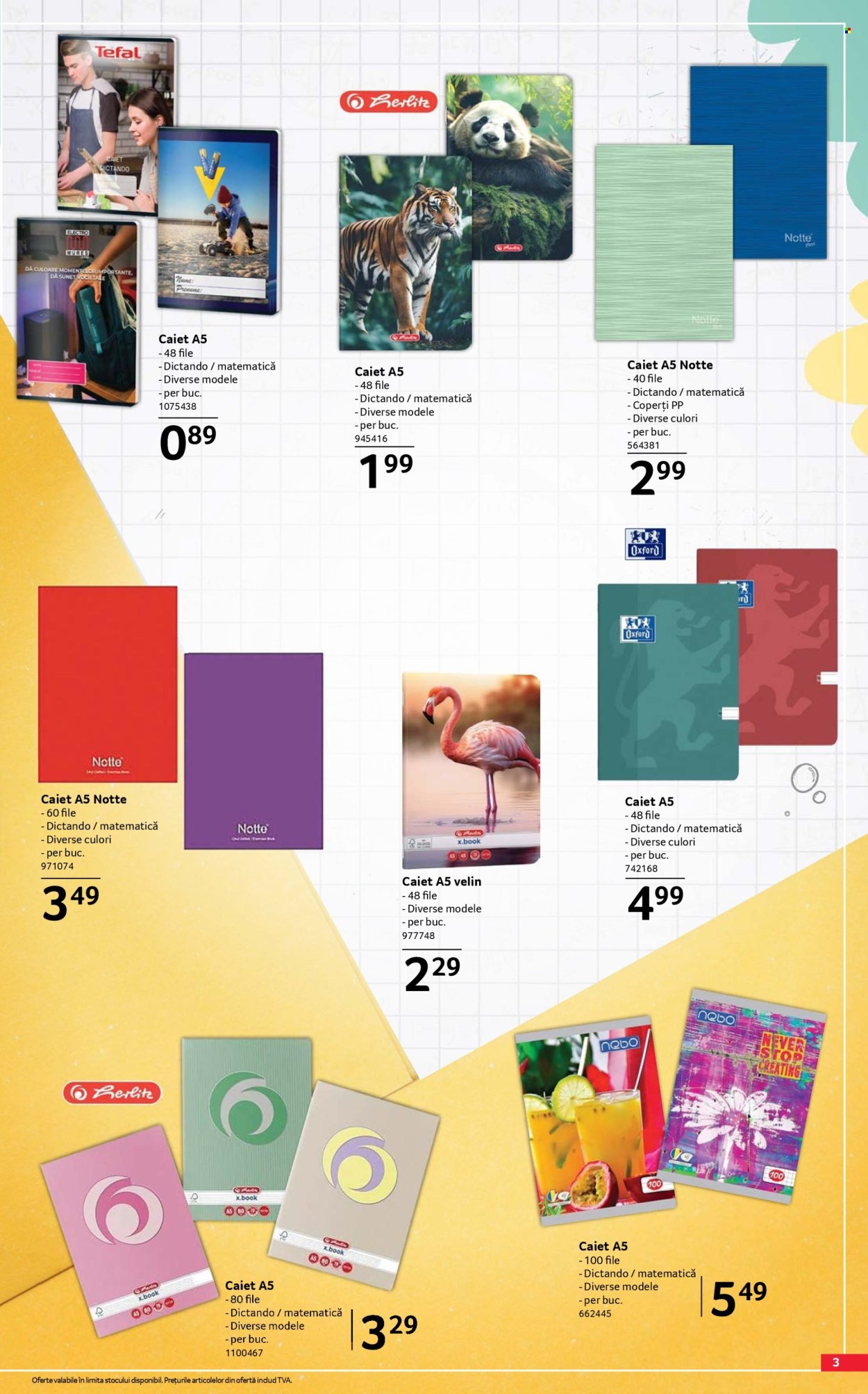 Catalog Selgros - 07.08.2026 - 20.09.2026. Pagina 3